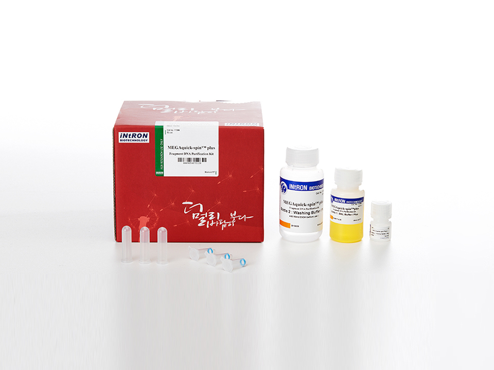 MEGAquick-spin™ plus Total Fragment DNA Purification Kit /200 col