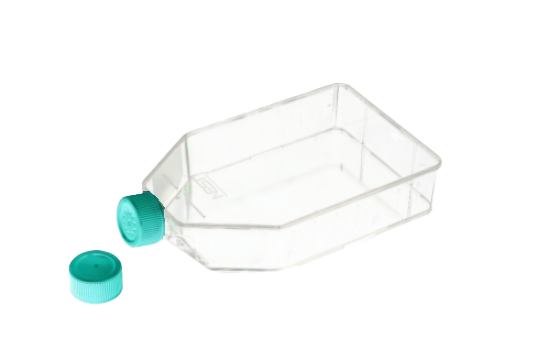 בקבוק תרביות תאים פקק מאוורר T175