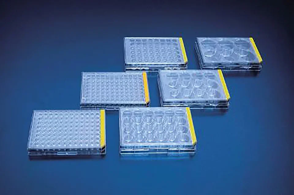 Tissue culture test plate, 6 wells /126