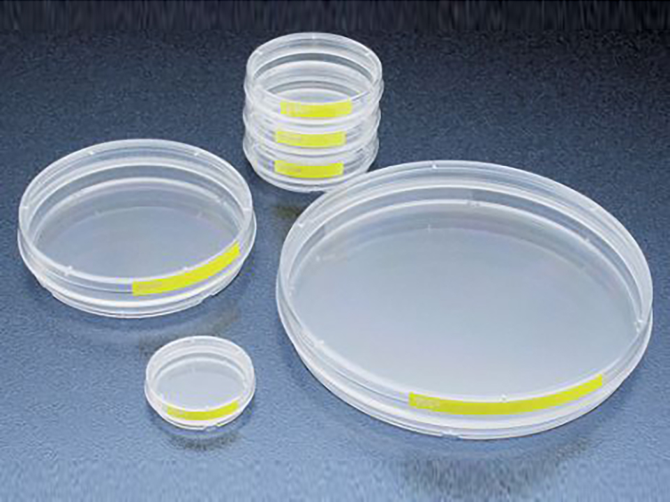 Tissue culture dish 40 mm /900