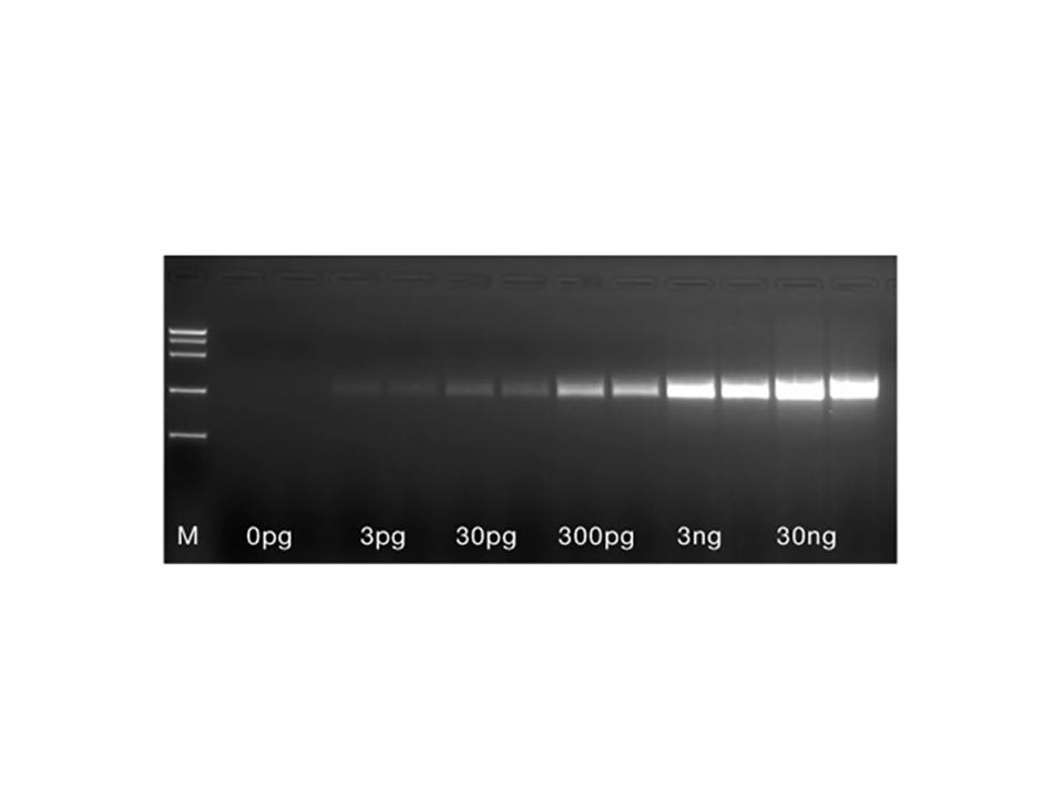 MyTaq One-Step RT-PCR Kit / 100 Reactions
