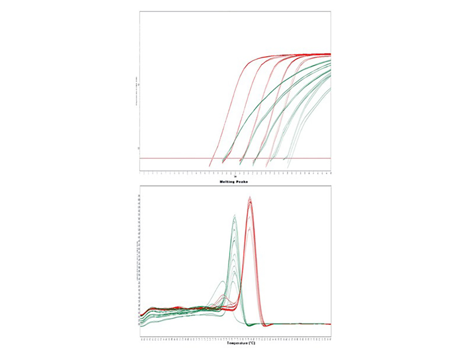 SensiFAST SYBR Lo-ROX One-Step Kit  / 100 rxns