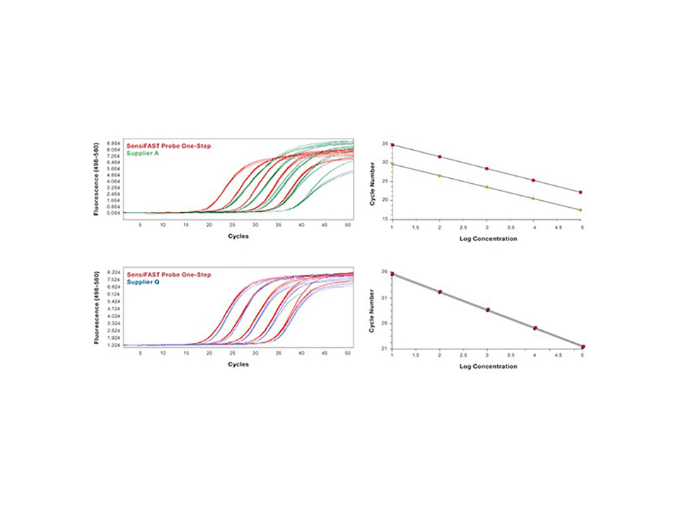 SensiFAST Probe Lo-ROX One-Step Kit  / 100 rxns