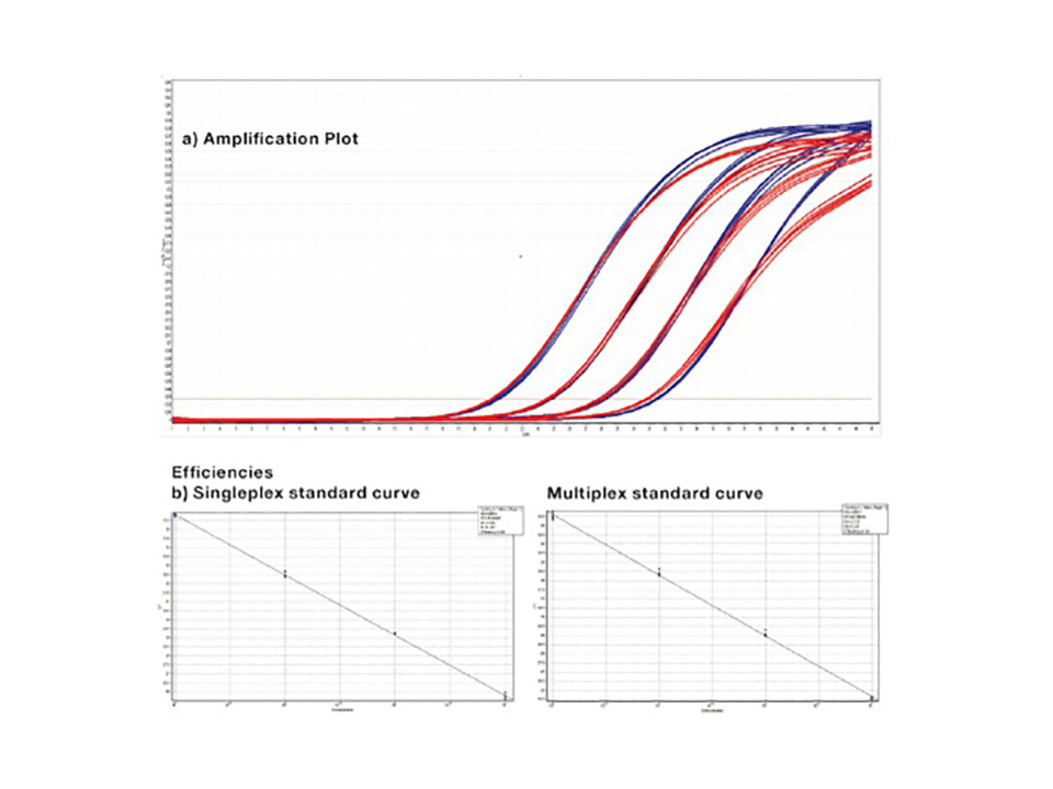 SensiFAST Probe Lo-ROX Kit / 500 rxns
