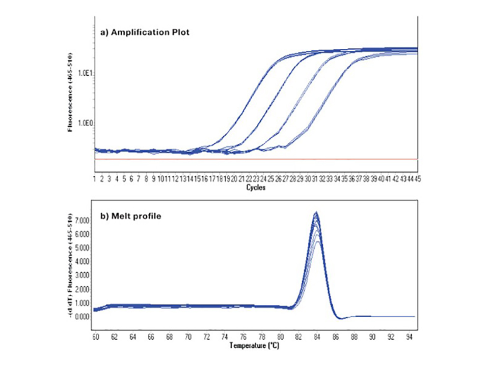 SensiFAST SYBR No-ROX Kit  / 500 rxns