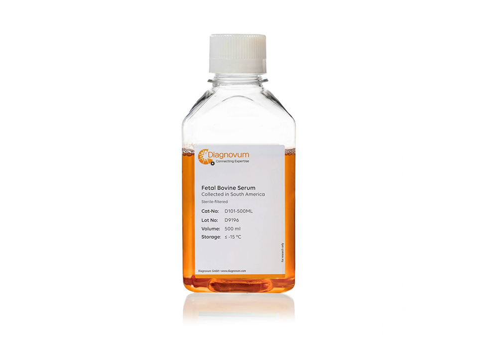 Fetal Bovine Serum, Collected in South America / 500 ml