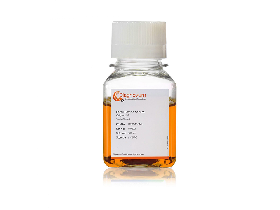 FBS Xtra, Fetal Bovine Serum, Collected in South America / 100 ml