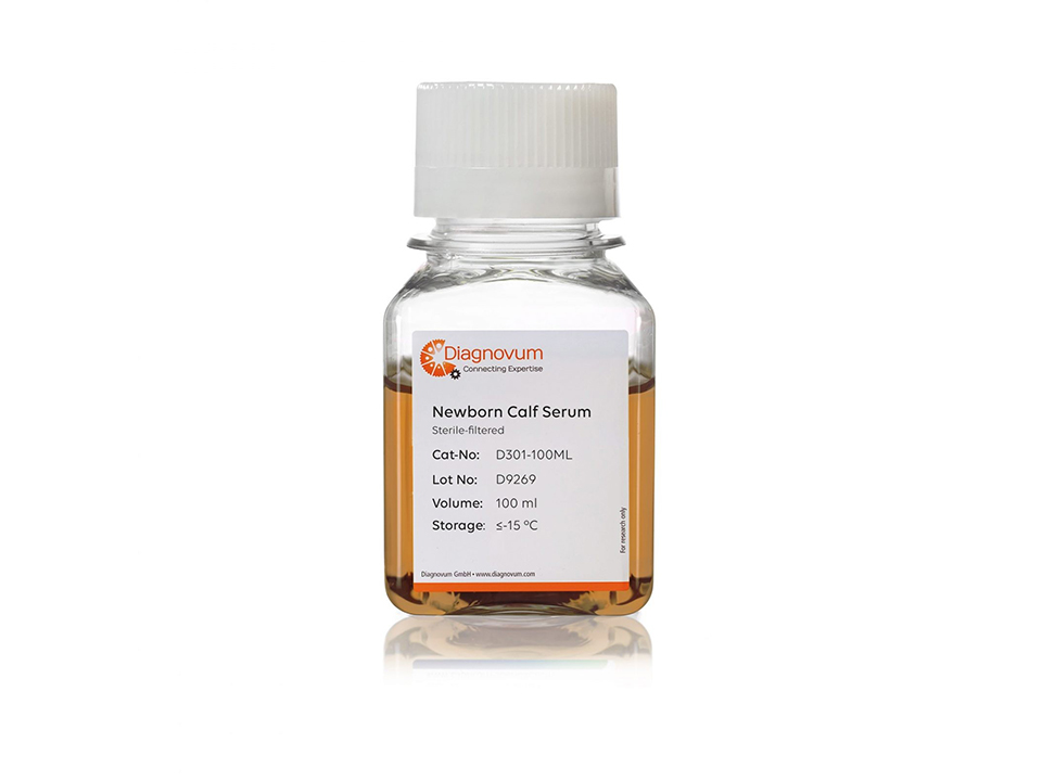 Calf Serum (Bovine Calf Serum, BCS)