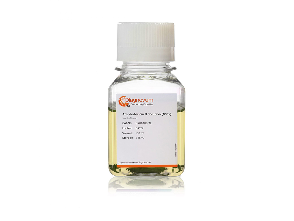 Amphotericin B Solution (100x), Antimycotic/Antifungal Solution