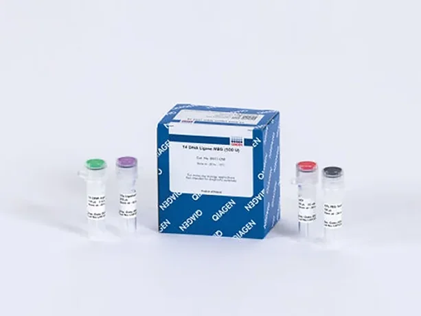 T4 DNA Ligase MBG