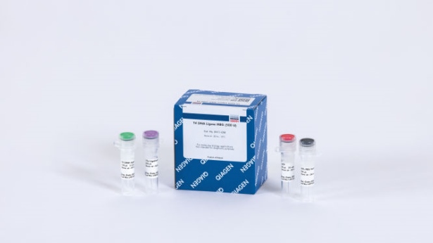 T4 DNA Ligase MBG (500 U)