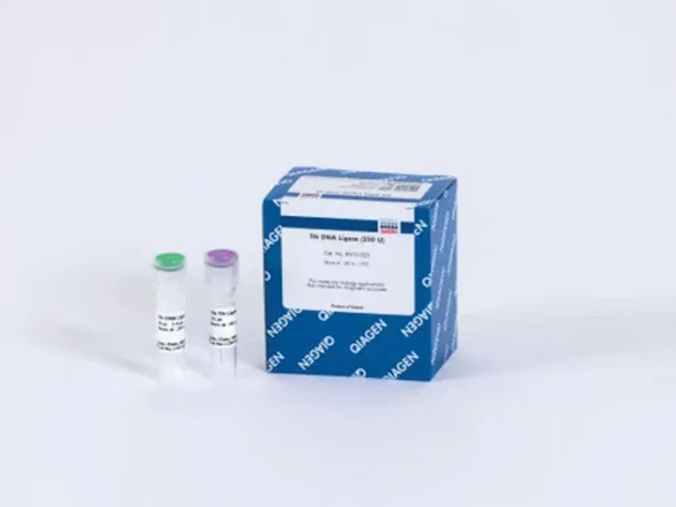 Tth DNA Ligase