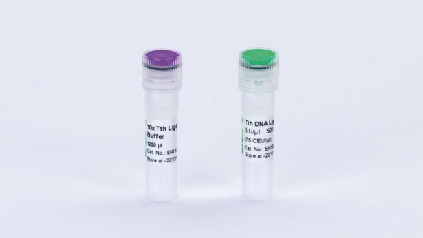 Tth DNA Ligase (2500 U)