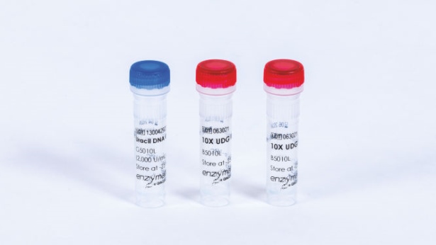 Uracil DNA Glycosylase (10000 U)