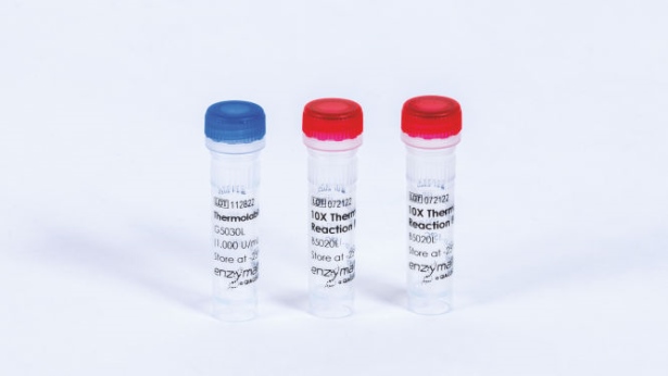 Thermolabile UDG (500 U)