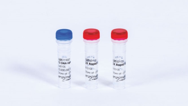 T3 DNA Ligase (900000 U)