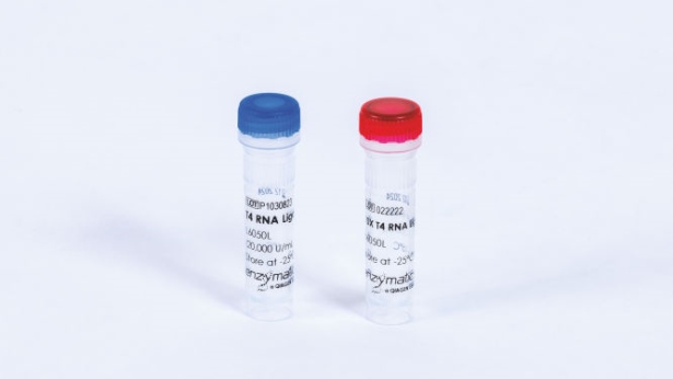 T4 RNA Ligase 1 (10000 U)