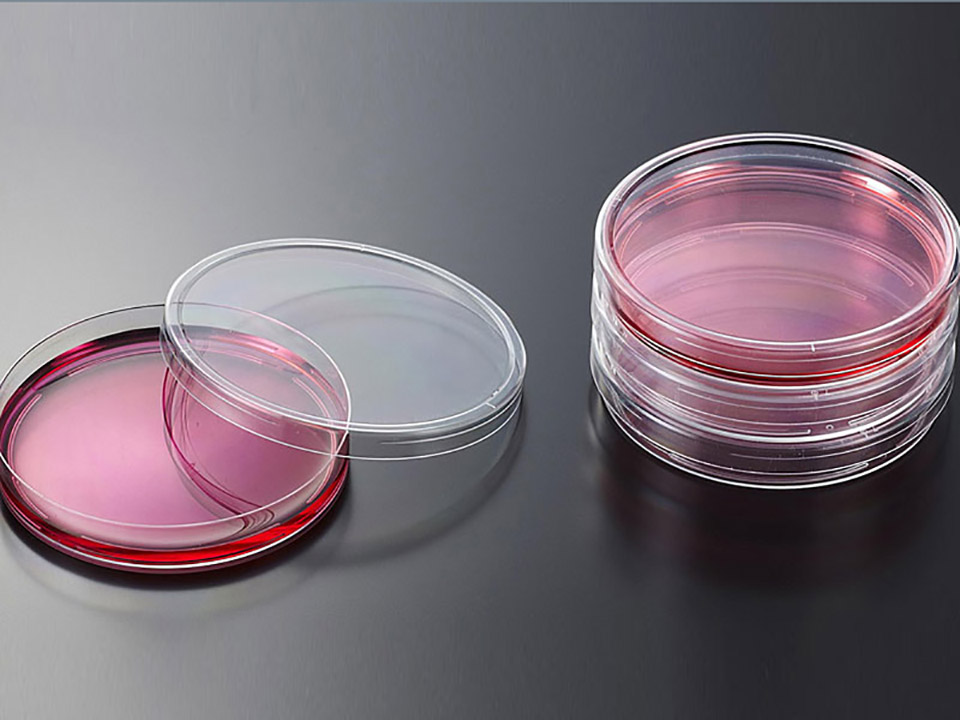 petri dish,sterile