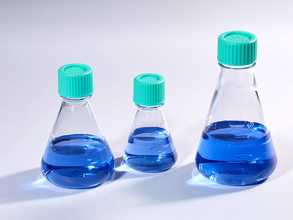 Erlenmeyer Flasks