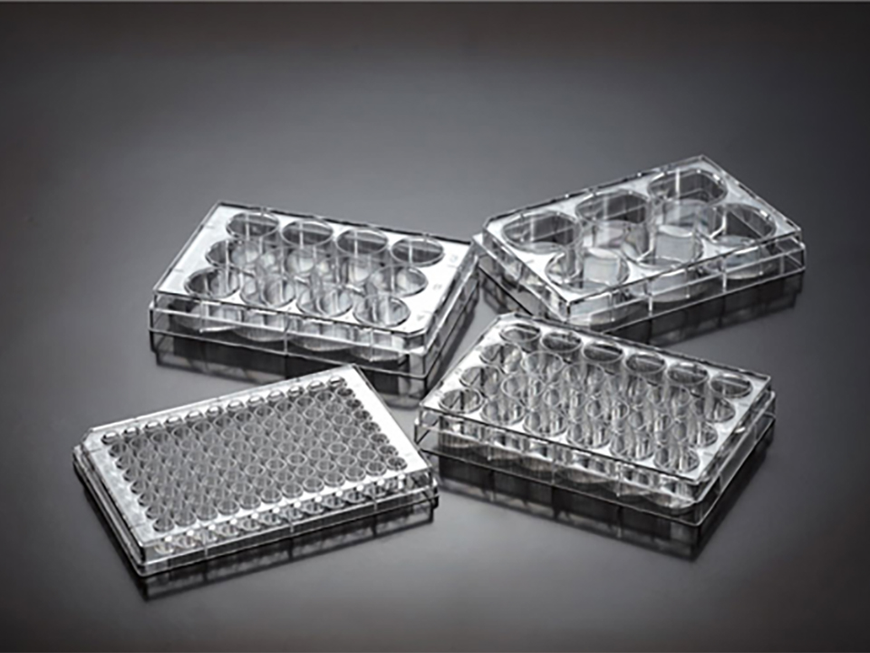 Tissue Culture Plates 6well, Non-treated, Sterilized (1/pkg, 100/cs)