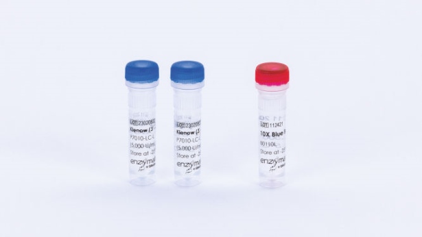 Klenow (3'-5' exo-) (low conc) (10000 U)