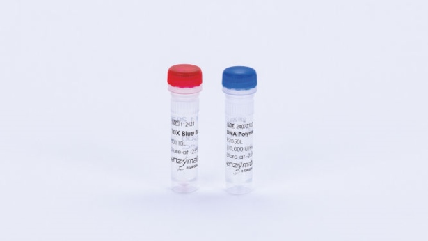 DNA Polymerase I (5000 U)