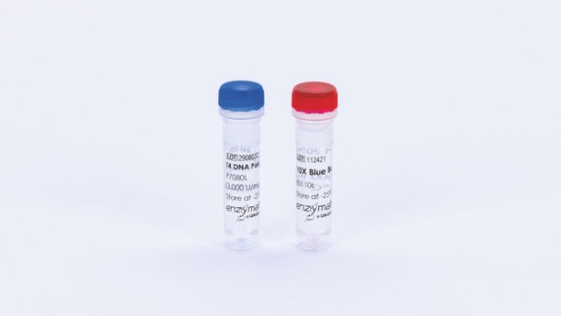 T4 DNA Polymerase (exo) (2000 U)