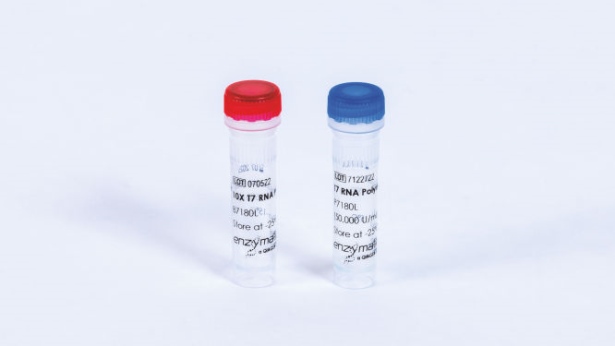T7 RNA Polymerase (50000 U)
