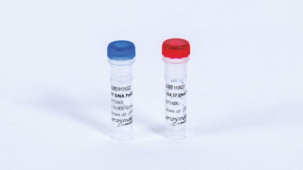 T7 DNA Polymerase (3500 U)