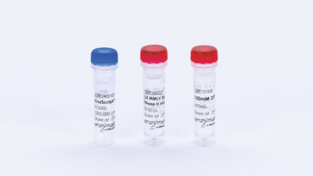 EnzScript (Rev Trans) (10000 U)