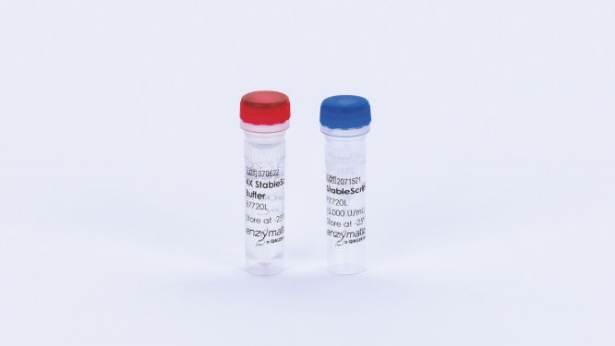 StableScript (250 U)