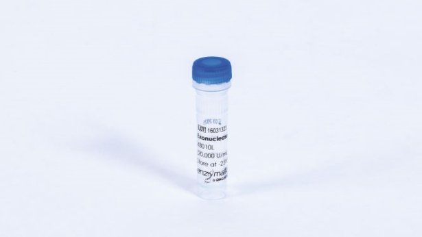 Exonuclease I (30000 U)