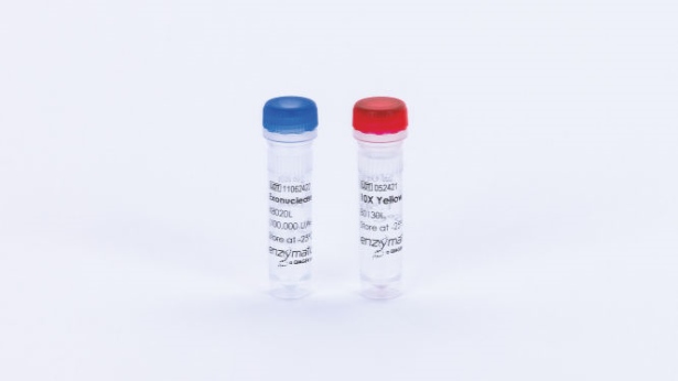 Exonuclease III (50000 U)