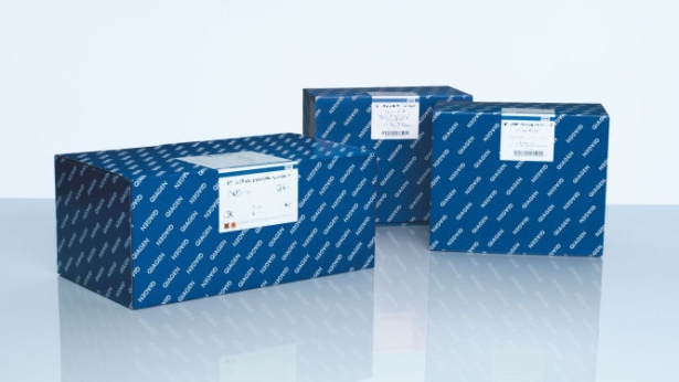 Lambda Exonuclease (10000 U)