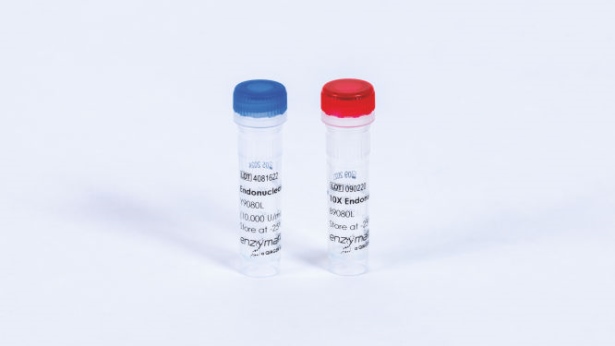 Endonuclease VIII (10000 U)