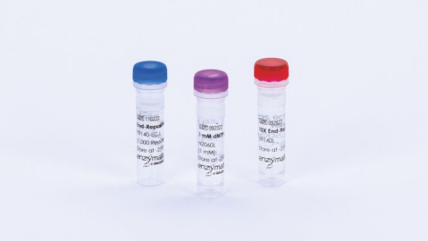 End-Repair Mix (LC) (200 rxn)