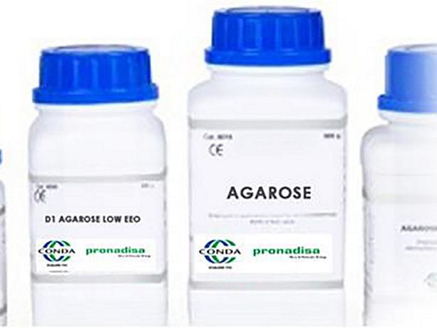 AGAROSE E 500