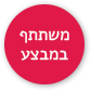 פיפטות 8+4